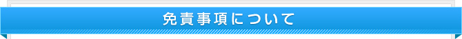 免責事項について